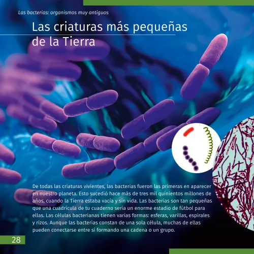 fotografía espacio y microcosmos. Libro educativo en 2 volúmenes,  11