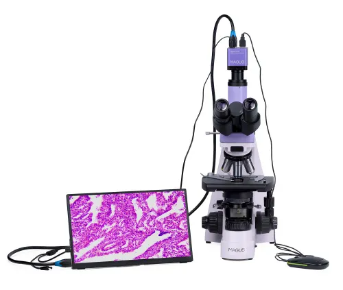 foto microscopio biológico digital MAGUS Bio D250TL LCD,  7