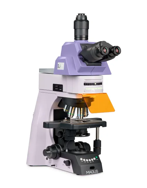 fotografía microscopio de fluorescencia MAGUS Lum 490L,  2