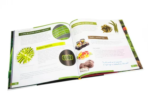 fotografía invisible World (el mundo invisible). El libro educativo. Tapa dura,  9