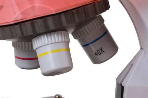 fotografía microscopio Levenhuk LabZZ M101,  7