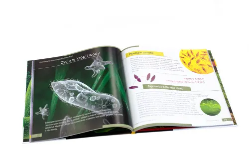 fotografía invisible World (el mundo invisible). El libro educativo. Tapa dura,  4