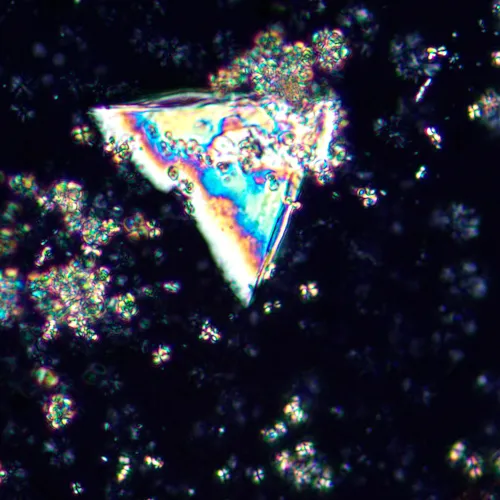 gráfico microscopio polarizador MAGUS Pol 850,  21