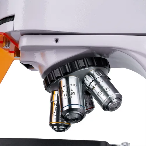 foto microscopio de fluorescencia MAGUS Lum 400L,  8