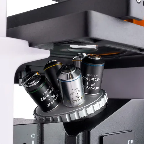 imagen microscopio invertido digital de fluorescencia MAGUS Lum VD500,  11