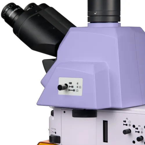 fotografía microscopio de fluorescencia MAGUS Lum 490L,  11