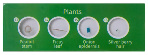 fotografía set de preparaciones Levenhuk LabZZ CP24: criaturas y plantas,  5