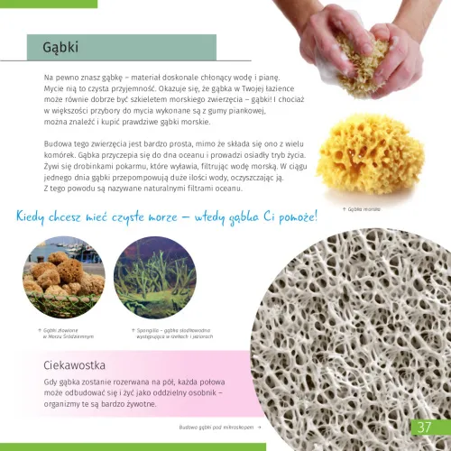 fotografía espacio y microcosmos. Libro educativo en 2 volúmenes,  4