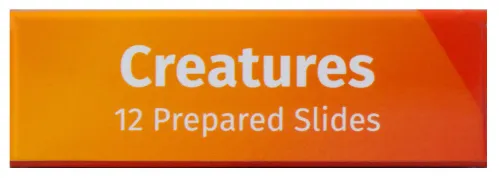 imagen set de preparaciones Levenhuk LabZZ C12: criaturas,  8