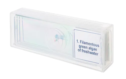 foto set de preparaciones para microscopio Levenhuk Discovery Prof DPS 5. «Biología»,  4