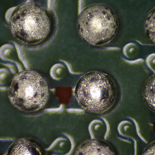 fotografía estereomicroscopio digital MAGUS Stereo D9T LCD,  25