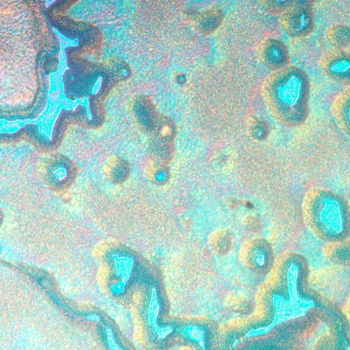 fotografía microscopio metalúrgico invertido MAGUS Metal V790 DIC,  20