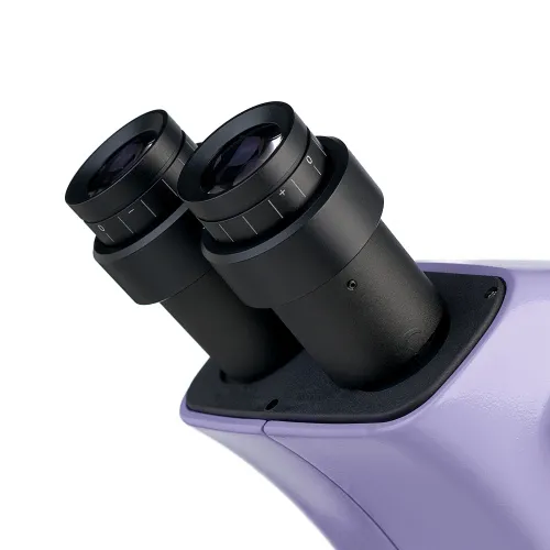 imagen estereomicroscopio MAGUS Stereo 9T,  12