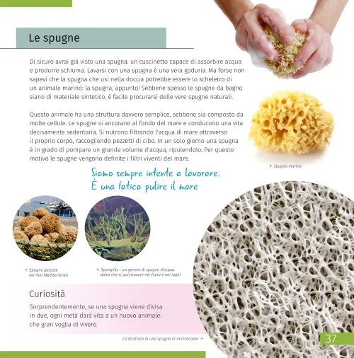 imagen el mundo invisible. Libro educativo,  2