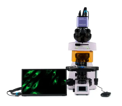 foto microscopio digital de fluorescencia MAGUS Lum D450L LCD,  9