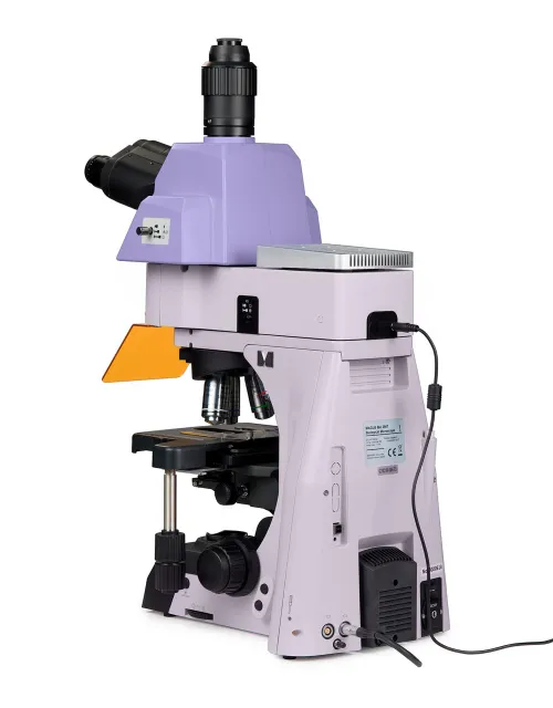 fotografía microscopio de fluorescencia MAGUS Lum 490L,  4