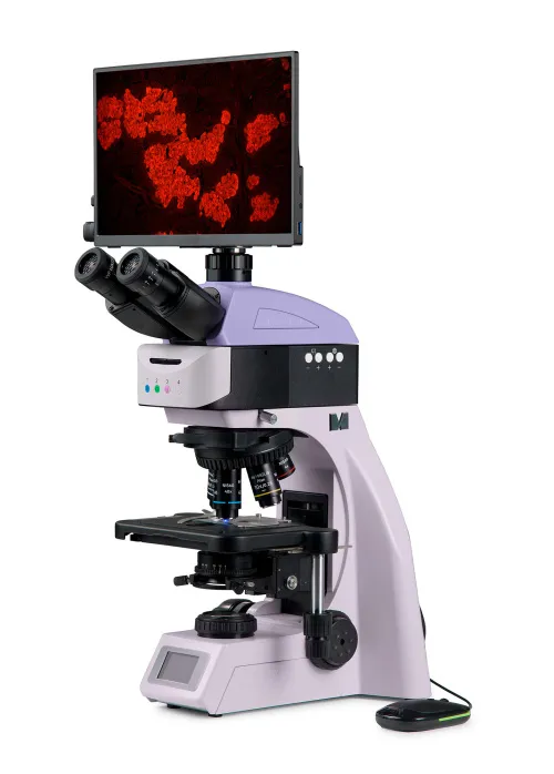 fotografía microscopio digital de fluorescencia MAGUS Lum D460L LCD,  2