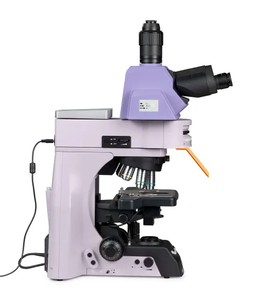 fotografía microscopio de fluorescencia MAGUS Lum 490L,  7
