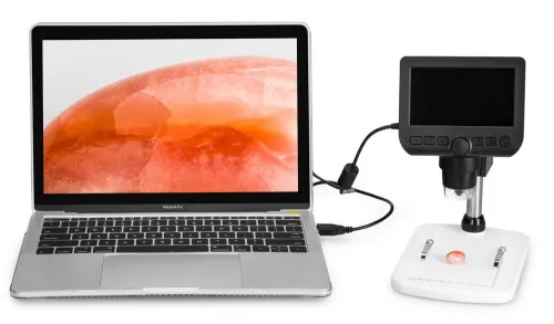 gráfico microscopio digital Levenhuk DTX 300 LCD,  13