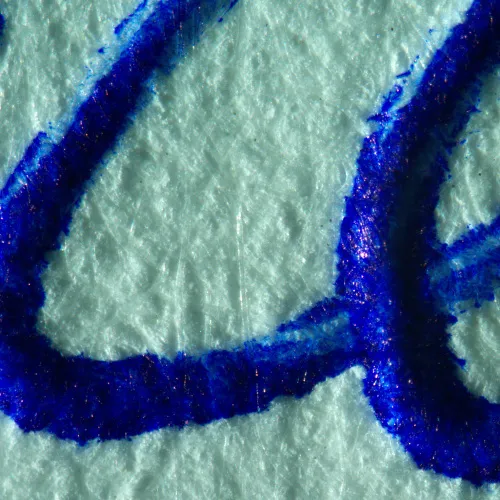 imagen estereomicroscopio MAGUS Stereo A10,  19