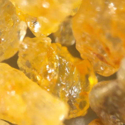 gráfico estereomicroscopio MAGUS Stereo A18T,  7