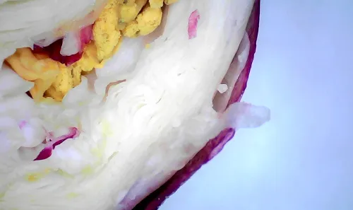 foto microscopio digital wifi Levenhuk DTX 720,  15