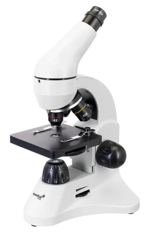 fotografía microscopio Levenhuk Rainbow 50L PLUS,  6