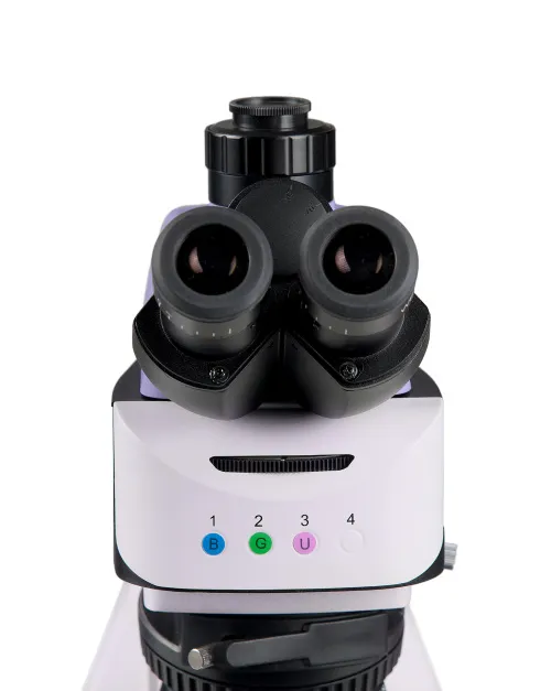 foto microscopio de fluorescencia MAGUS Lum 460L,  10