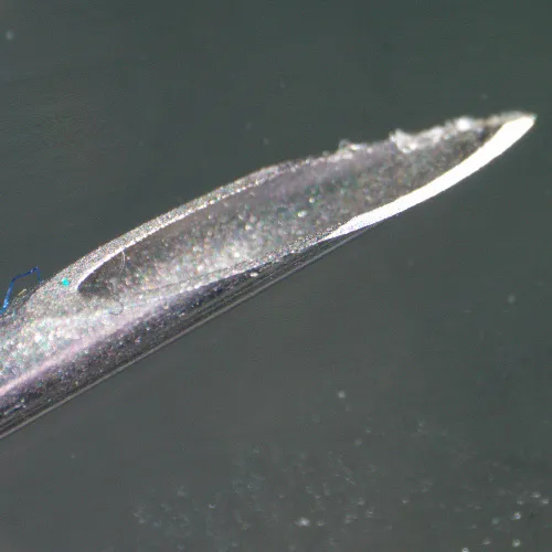 foto estereomicroscopio digital MAGUS Stereo D9T,  26