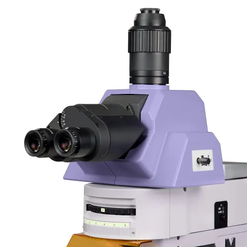 fotografía microscopio de fluorescencia MAGUS Lum 490L,  9