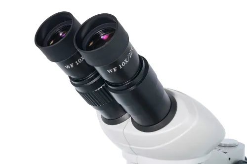fotografía microscopio binocular Levenhuk 4ST,  6