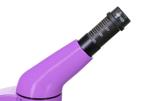 fotografía microscopio Levenhuk Rainbow 50L PLUS,  12
