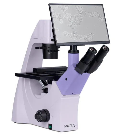 gráfico microscopio biológico invertido digital MAGUS Bio VD300 LCD,  4