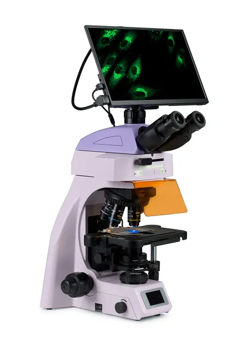 foto microscopio digital de fluorescencia MAGUS Lum D450L LCD,  3