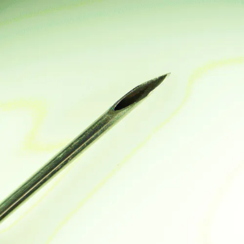 fotografía estereomicroscopio MAGUS Stereo 8T,  15