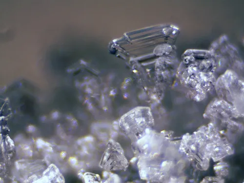 fotografía estereomicroscopio Bresser Erudit ICD,  12