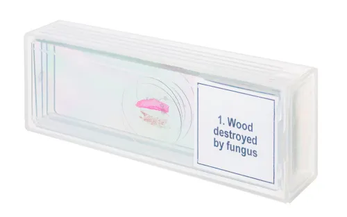 foto set de preparaciones para microscopio Levenhuk Discovery Prof DPS 5. «Alteraciones»,  4