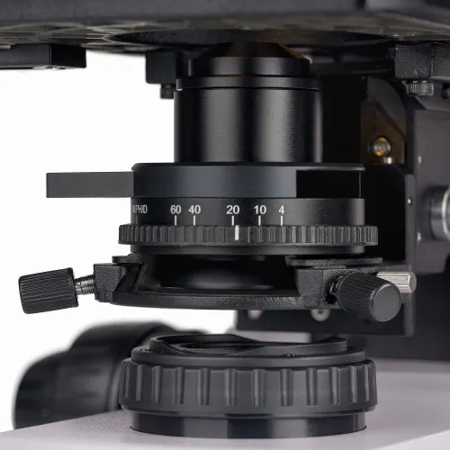 fotografía microscopio biológico digital MAGUS Bio DH260,  2