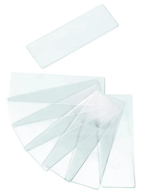 foto portaobjetos vacíos de dos cavidades Levenhuk G50 2H, 50 unidades,  3