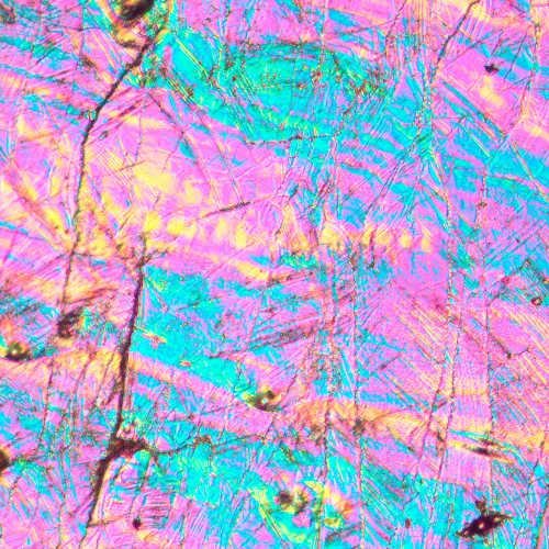 gráfico microscopio metalúrgico invertido MAGUS Metal V700 DIC,  16