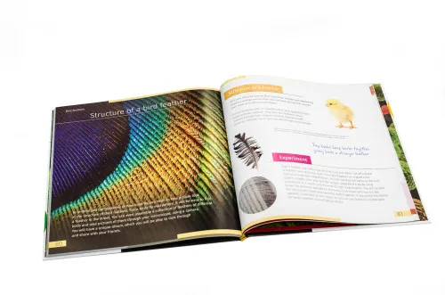 fotografía invisible World (el mundo invisible). El libro educativo. Tapa dura,  10