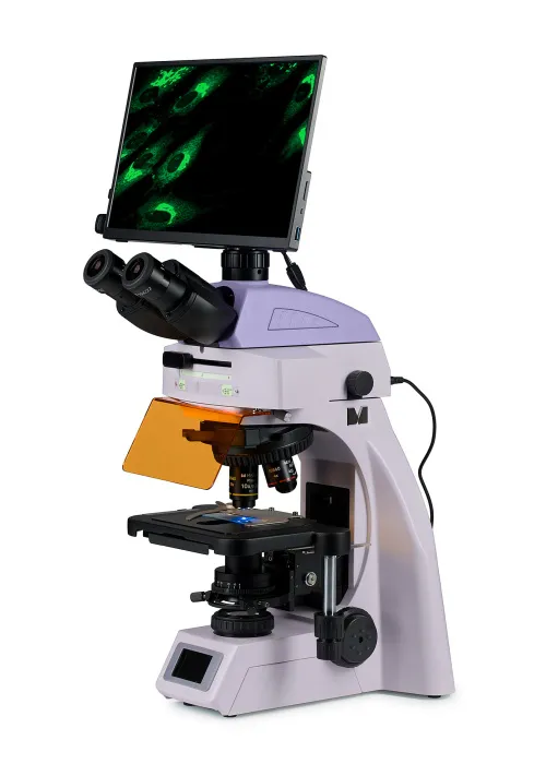 foto microscopio digital de fluorescencia MAGUS Lum D450L LCD,  2
