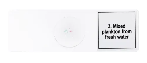 imagen set de preparaciones para microscopio Levenhuk Discovery Prof DPS 5. «Vida en una gota de agua»,  7