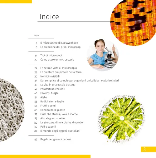 imagen el mundo invisible. Libro educativo,  7