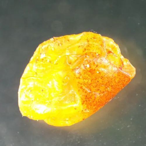 imagen estereomicroscopio MAGUS Stereo A8,  15