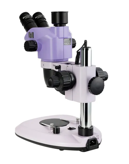 fotografía estereomicroscopio MAGUS Stereo 8T,  12