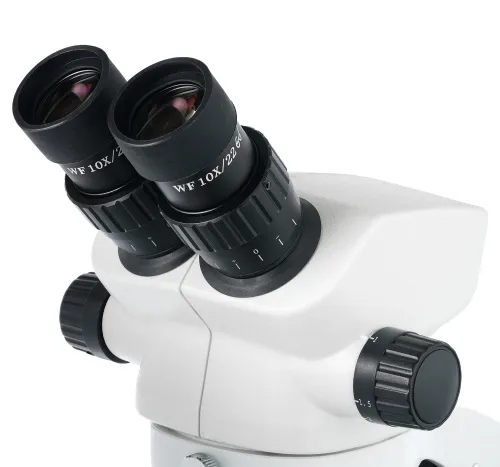 gráfico microscopio binocular Levenhuk ZOOM 1B,  6