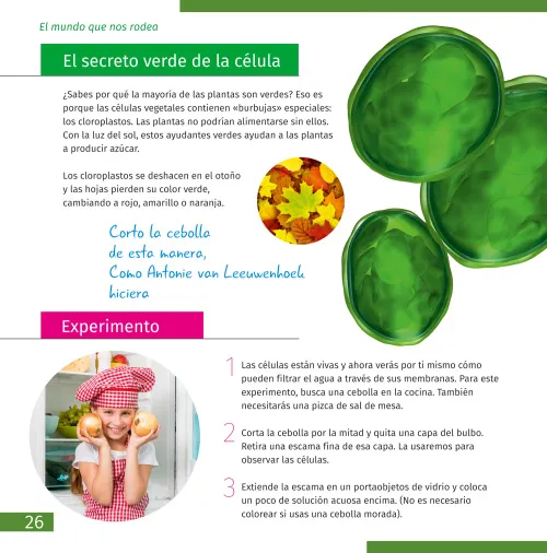 gráfico microscopio Levenhuk Discovery Pico,  7