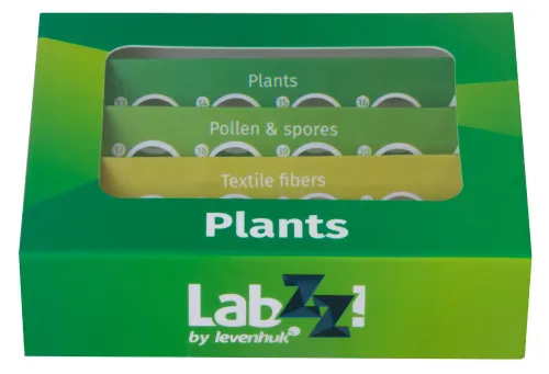 gráfico set de preparaciones Levenhuk LabZZ P12: plantas,  8