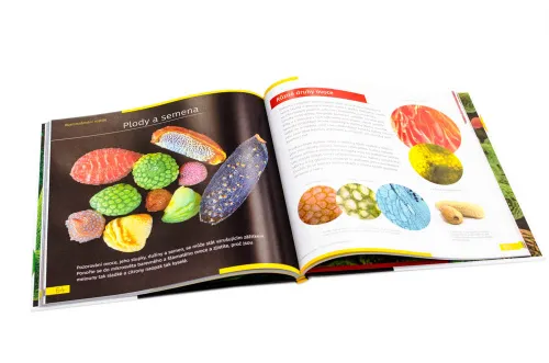 fotografía invisible World (el mundo invisible). El libro educativo. Tapa dura,  10